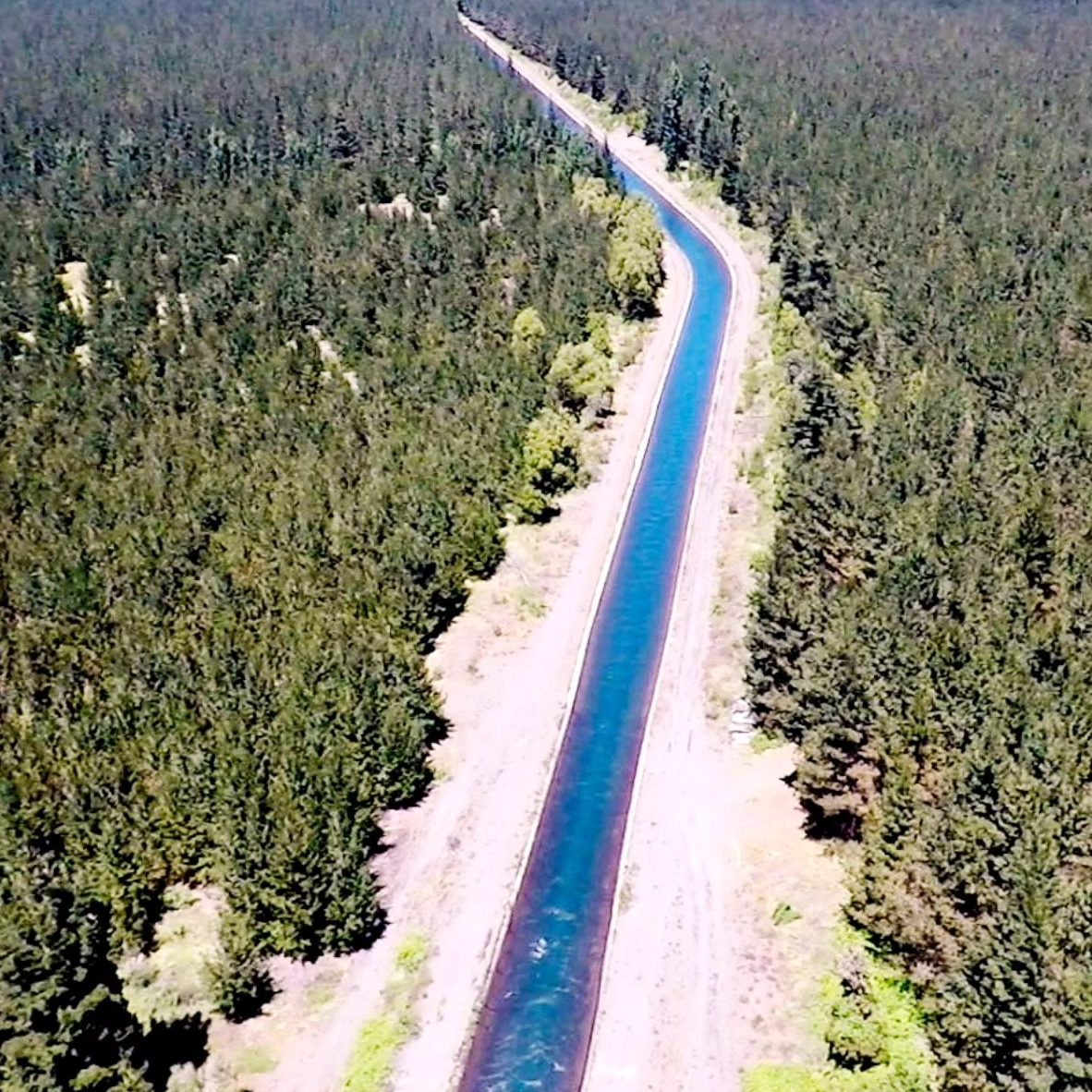 Canal de riego de la ACL entre bosque