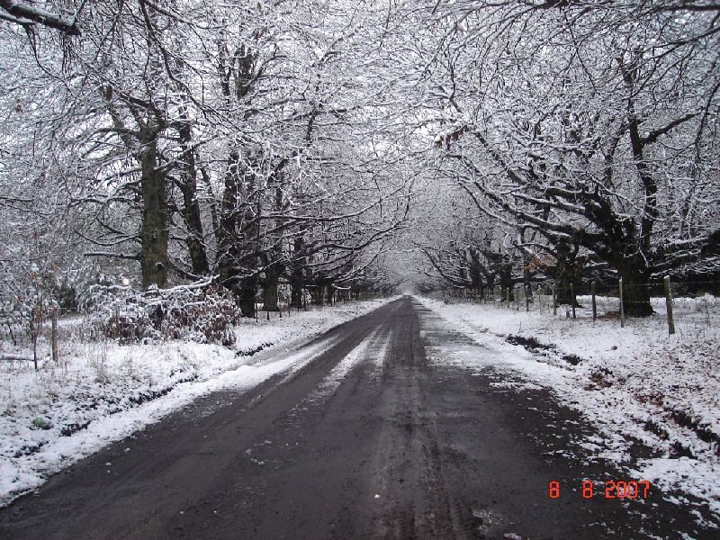 Camino ribereño con nieve