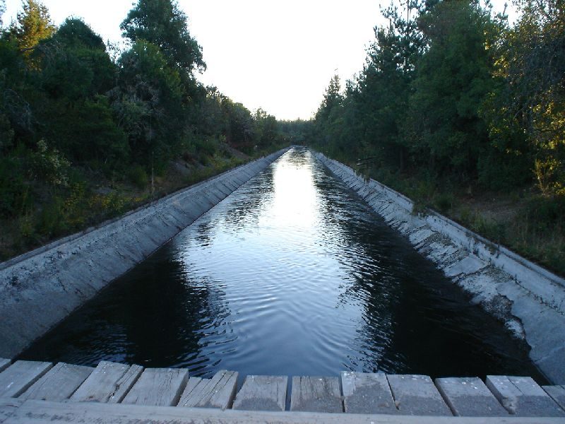 Canal Matriz atravesando el bosque