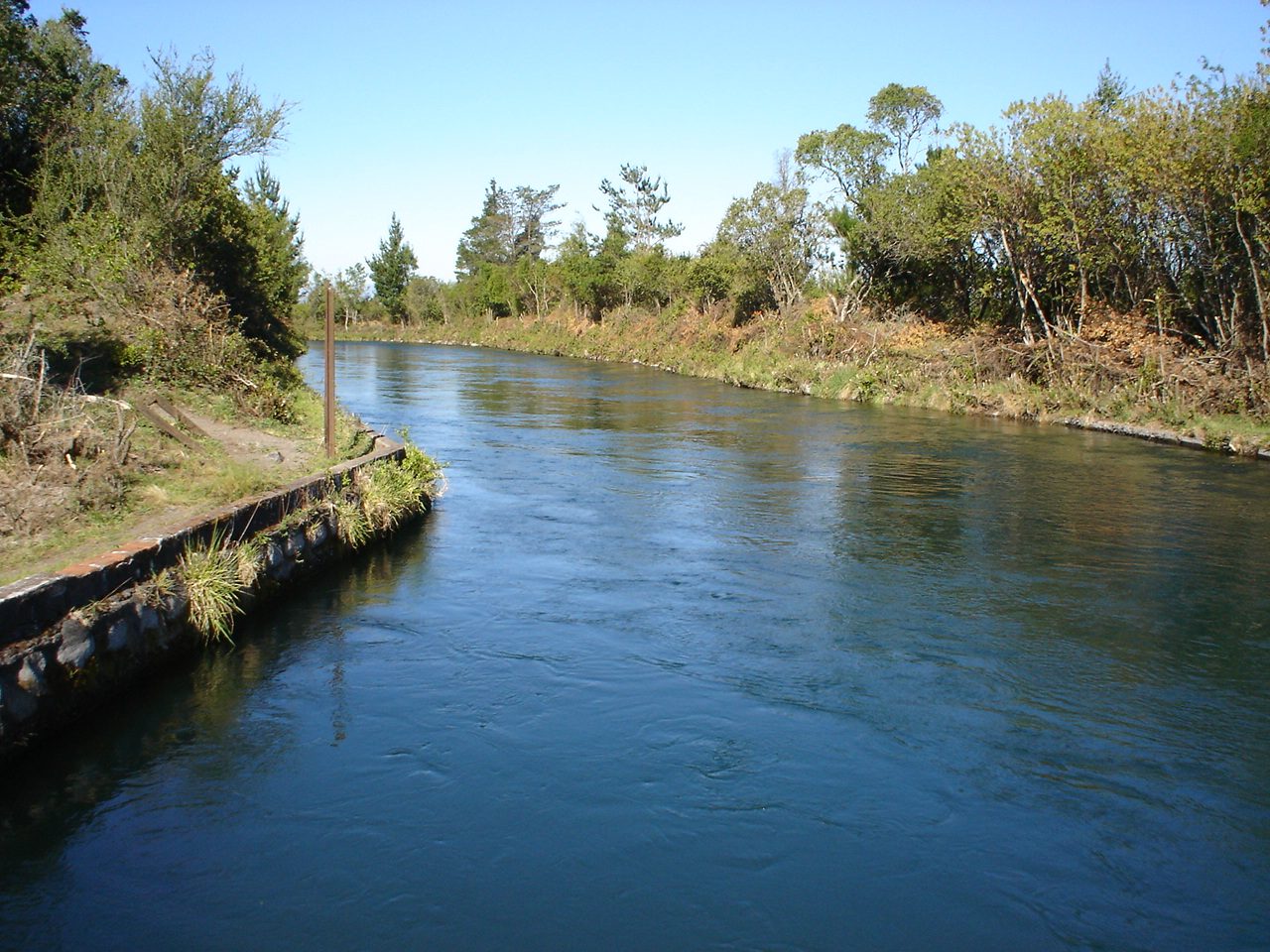 Limpia de bermas del Canal Matriz